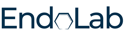 EndoLab IT